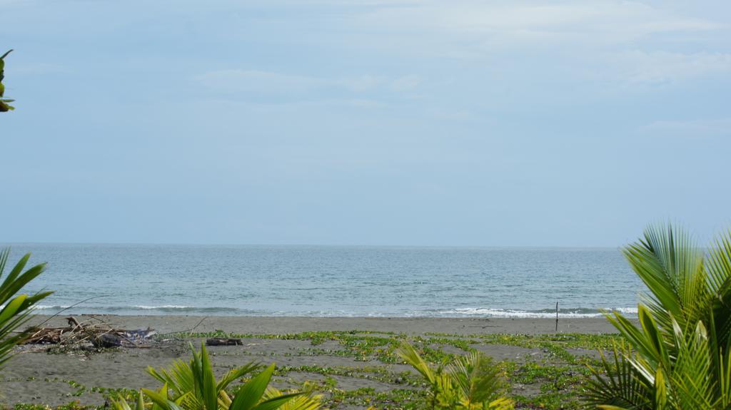 Lirio Lodge Barra de Pacuare Exterior foto