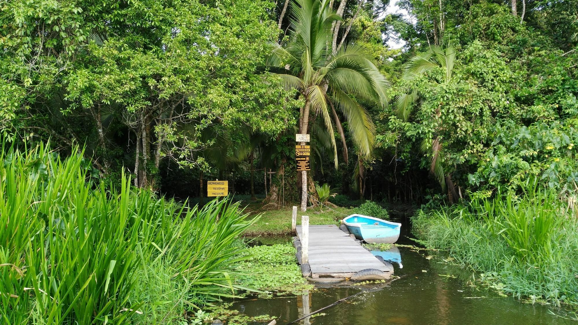 Lirio Lodge Barra de Pacuare Exterior foto