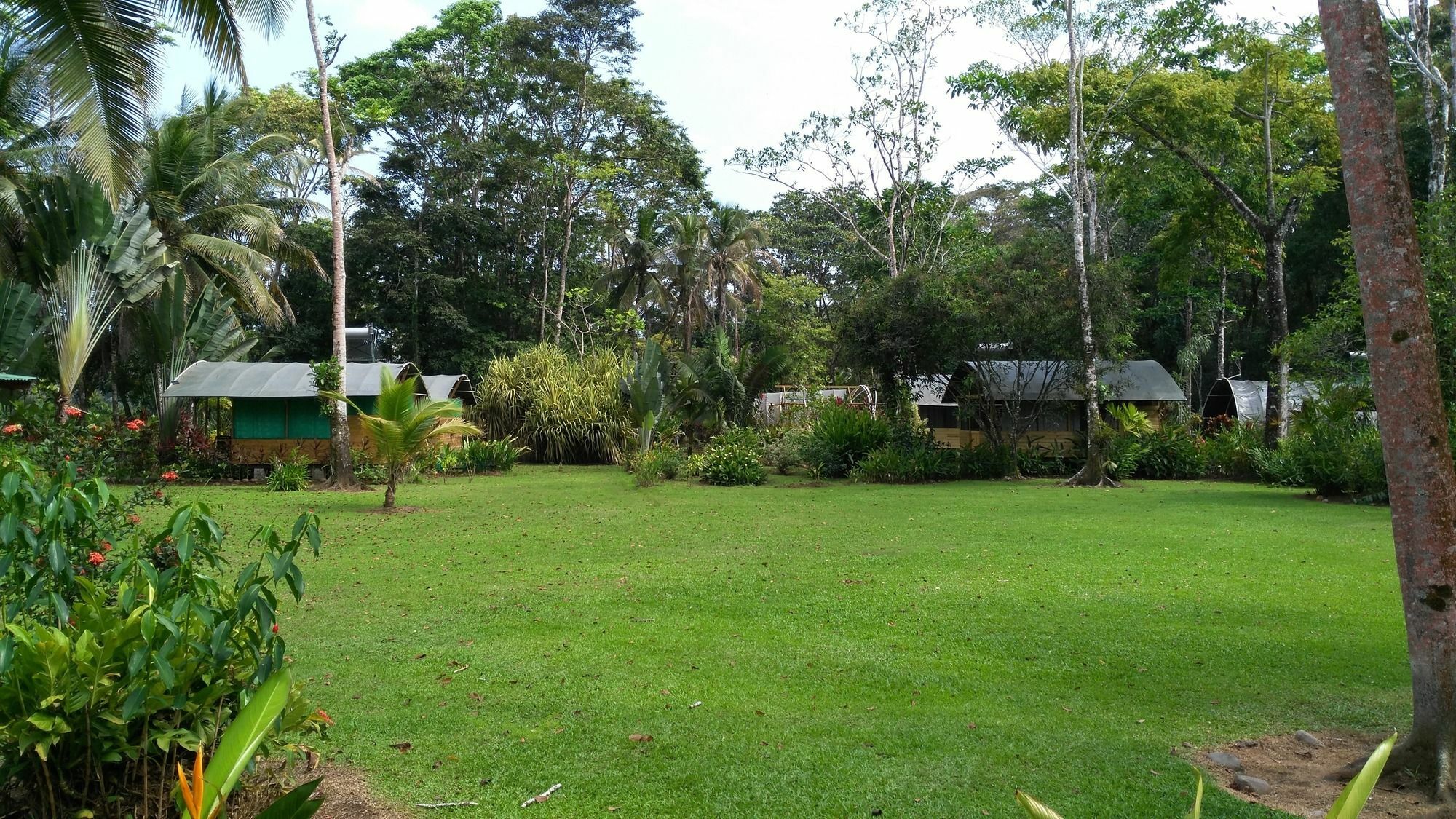 Lirio Lodge Barra de Pacuare Exterior foto