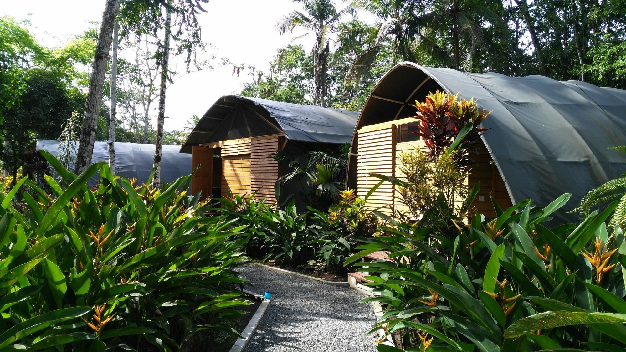 Lirio Lodge Barra de Pacuare Exterior foto