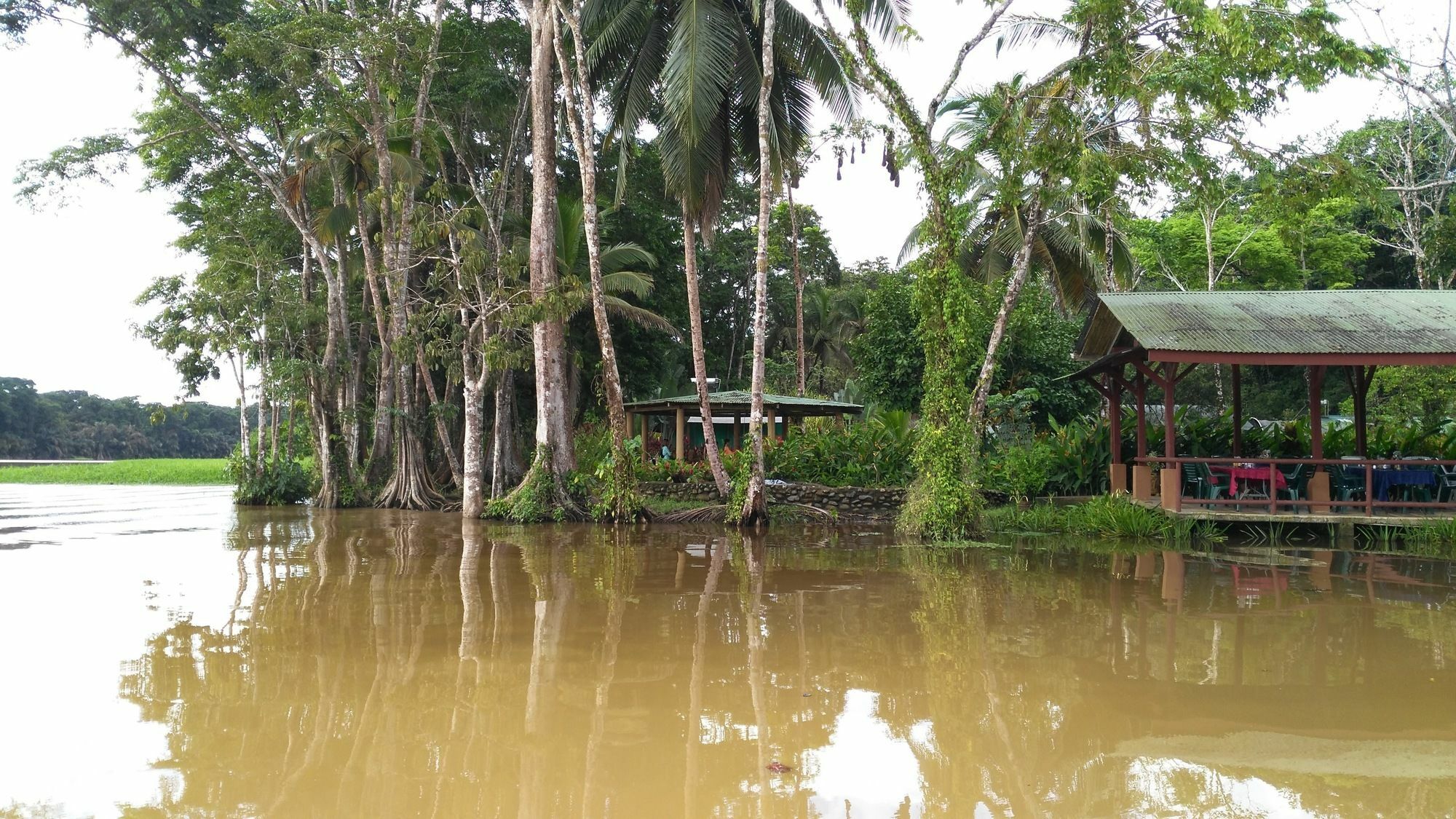 Lirio Lodge Barra de Pacuare Exterior foto